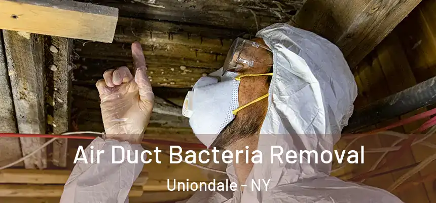 Air Duct Bacteria Removal Uniondale - NY