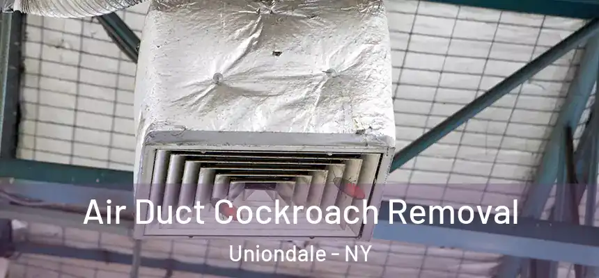 Air Duct Cockroach Removal Uniondale - NY