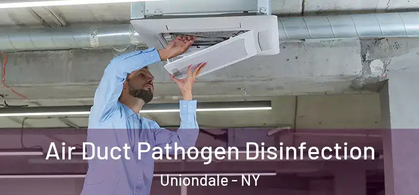 Air Duct Pathogen Disinfection Uniondale - NY