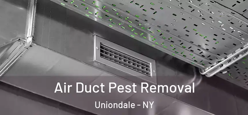 Air Duct Pest Removal Uniondale - NY