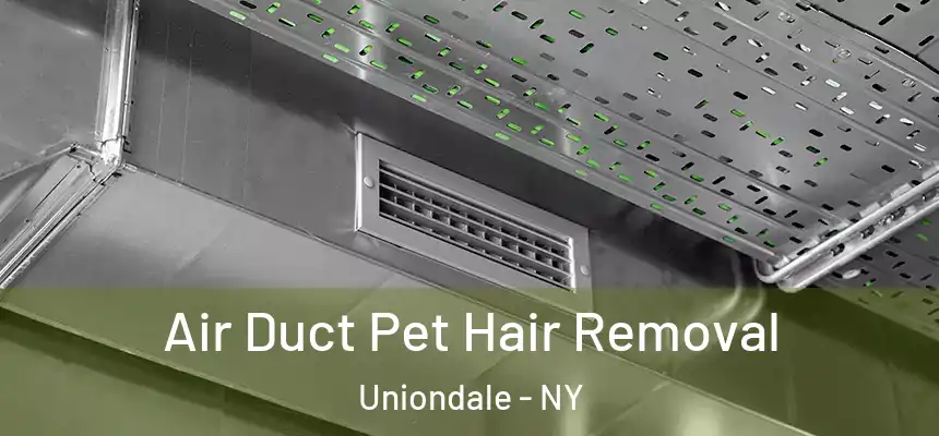  Air Duct Pet Hair Removal Uniondale - NY