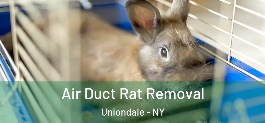  Air Duct Rat Removal Uniondale - NY
