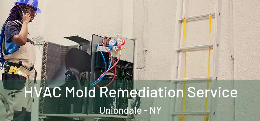 HVAC Mold Remediation Service Uniondale - NY