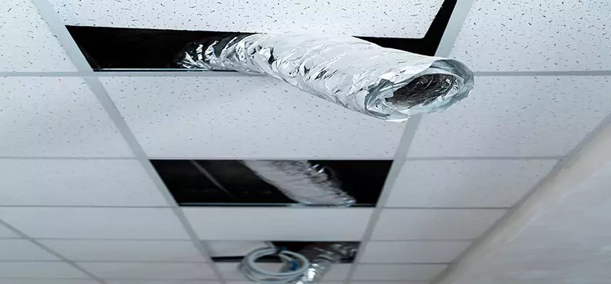 Our Air Duct Pet Hair Removal Services in Uniondale, NY