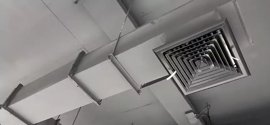 Our Rodent Droppings In Vents Services in Uniondale, NY