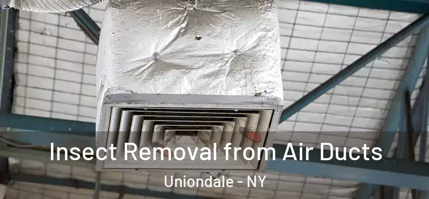 Insect Removal from Air Ducts Uniondale - NY