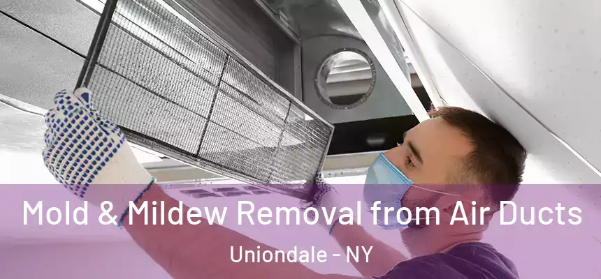  Mold & Mildew Removal from Air Ducts Uniondale - NY