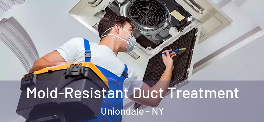  Mold-Resistant Duct Treatment Uniondale - NY