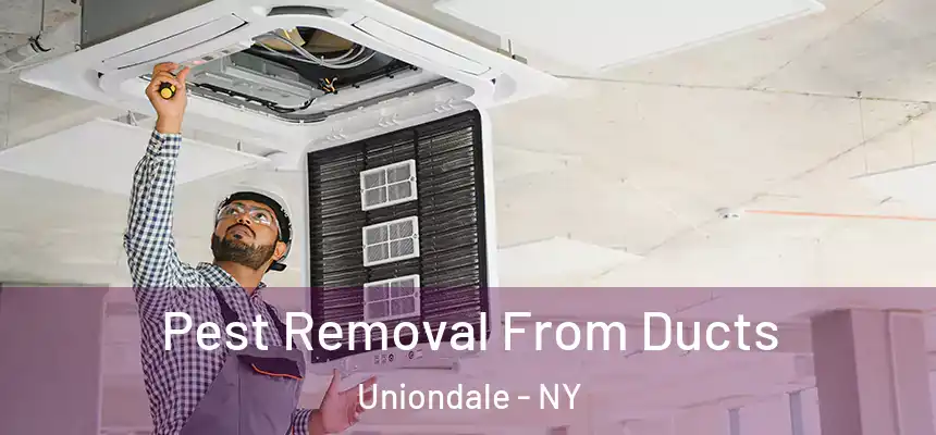 Pest Removal From Ducts Uniondale - NY