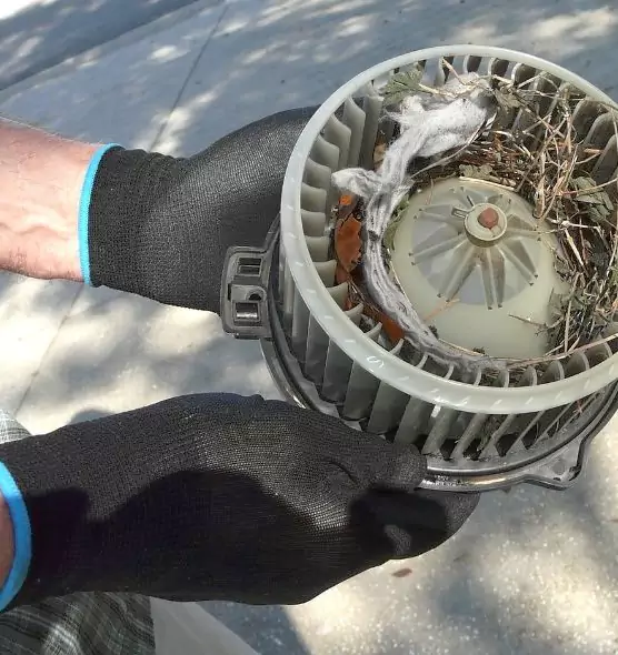 About Air Duct Rat Removal in Uniondale, NY