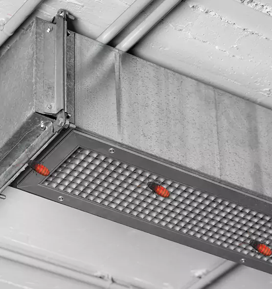 Affordable Insect Removal from Air Ducts in Uniondale, NY