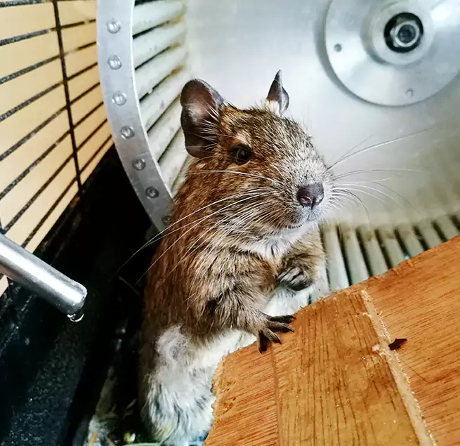 Why Homeowners & Businesses Trust Us Uniondale, NY