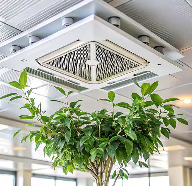 Why Homeowners & Businesses Trust Us in Uniondale, NY