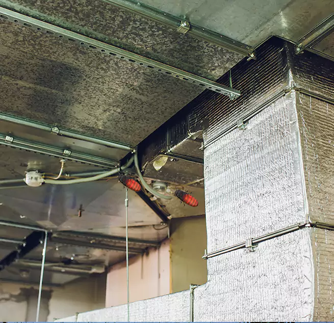 Why Homeowners & Businesses Trust Us Uniondale, NY?