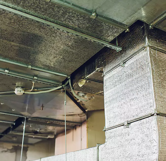 Why Homeowners & Businesses Trust Us in Uniondale, NY?